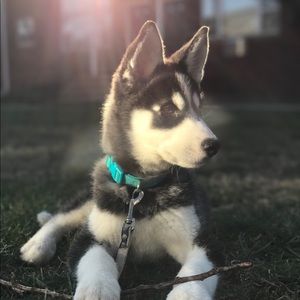 Meet your Posher, Christopher